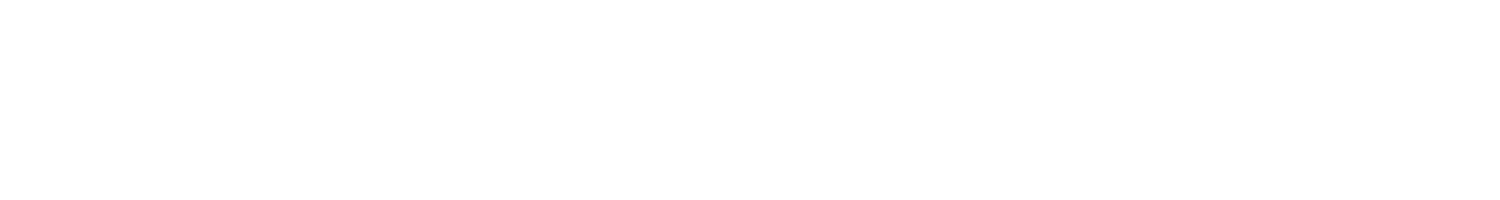 SM Software Logo